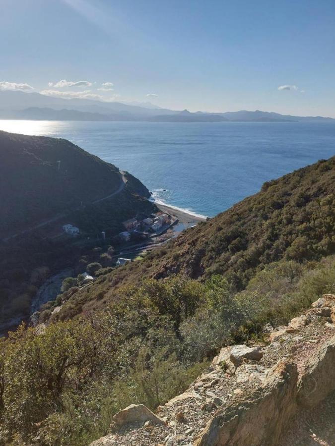 Cap Corse - Grande Maison Au Bord De Mer - Pmr Grillasca Εξωτερικό φωτογραφία